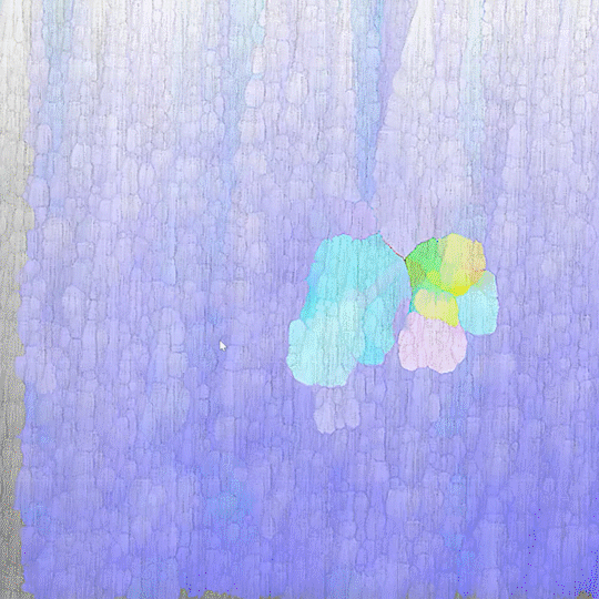 Close-up of pigment-like color variation